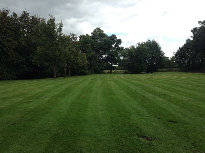 A large lawn freshly cut in stripes, with a line of trees behind