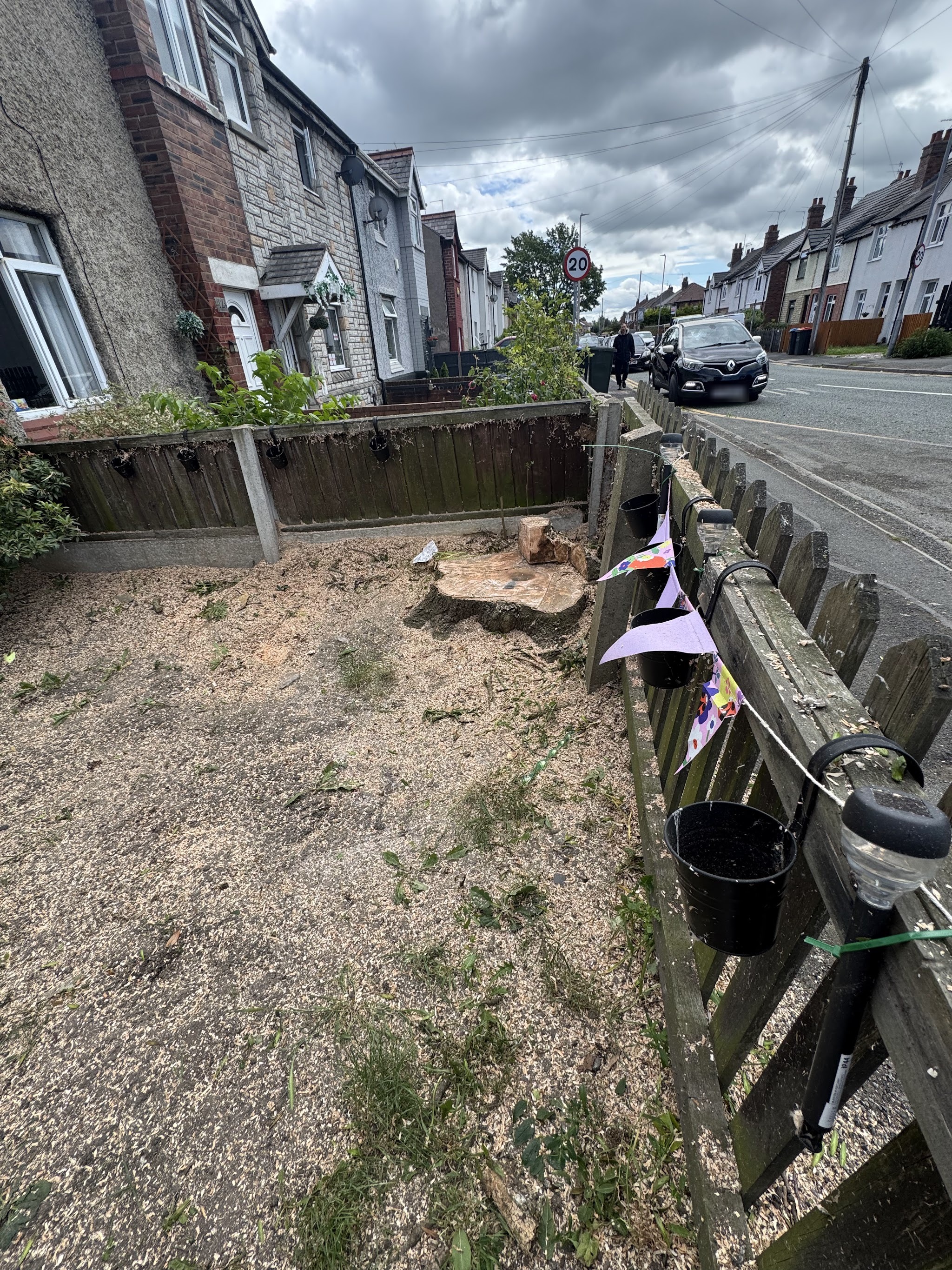 A front garden after a tree removal, the cut stump and sawdust left level